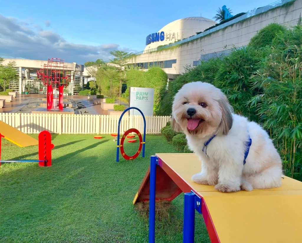 Instagrammable Pet-friendly Malls around Manila that offers FREE Pet